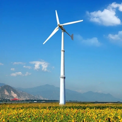 家庭風力発電システム 2000w 5kw 10kw 48v 小型の風力タービン代替エネルギー発電機