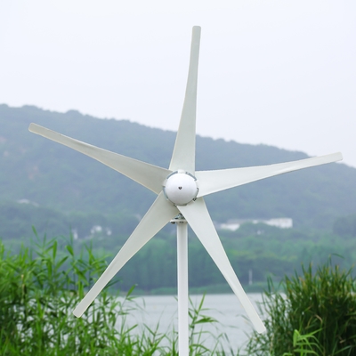 3 段階 10kw 太陽風力 ハイブリッド システム ネットワーク上 長い風力発電システム