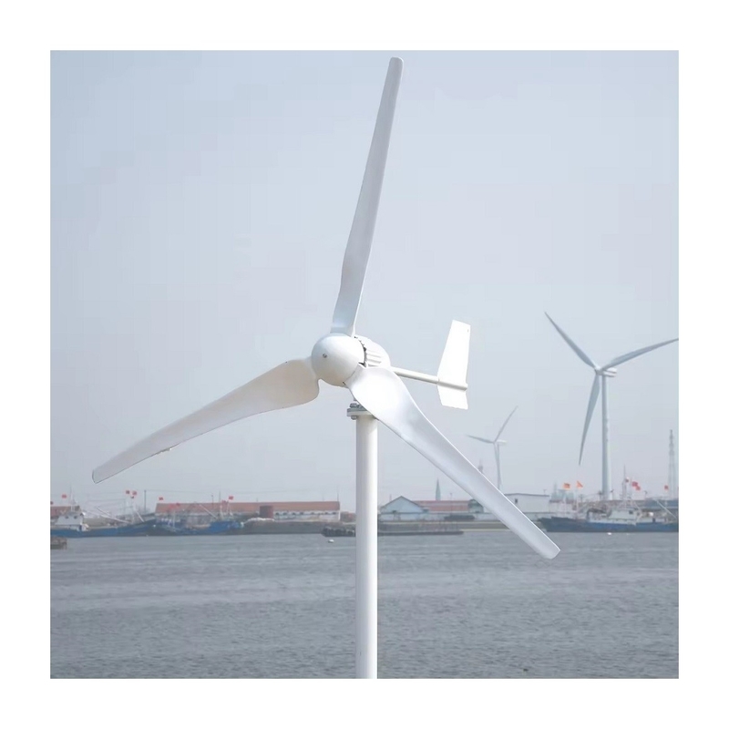 安価な5KWの風力太陽光発電システム 純粋な正弦波インバーターと低周波